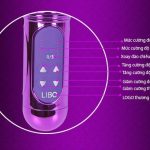 Dương Vật Giả LIBO Rung Thụt Xoay Cực Sướng – Pin sạc (TH 0060)