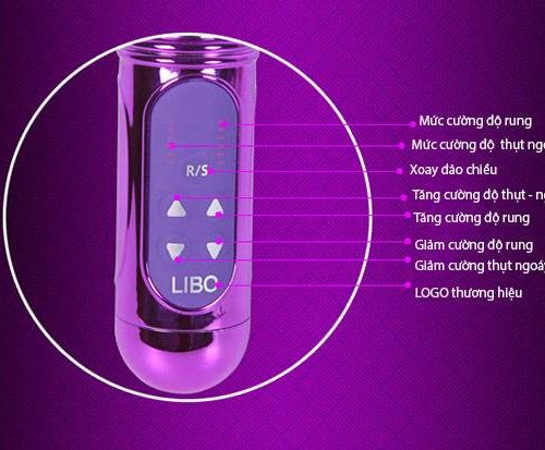 Dương Vật Giả LIBO Rung Thụt Xoay Cực Sướng – Pin sạc (TH 0060)